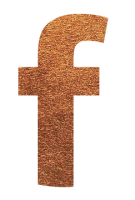 FacebookIcon